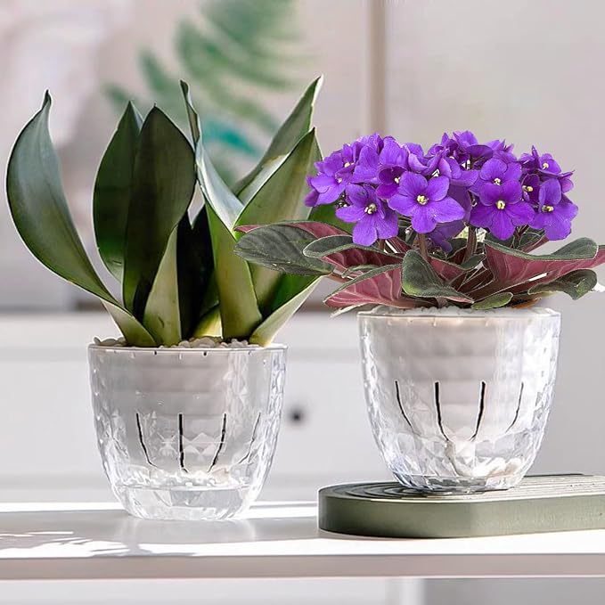 2 Pack 6 inch Self Watering Pots Planters - Image 5
