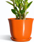 10 Inch Plant Pot by SUNPOTFOR