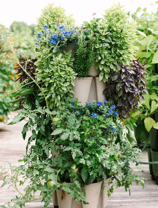 Greenstalk Patented Large 5 Tier Vertical Garden Planter - Image 3