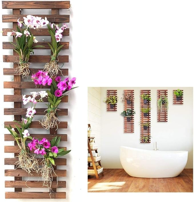 ShopLaLa Wall Planter by ShopLaLa