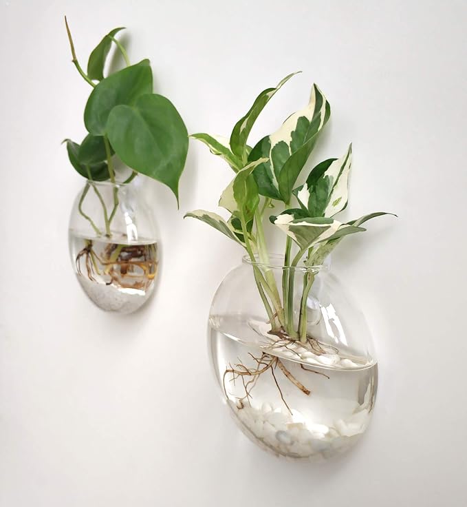 Mkono Wall Hanging Planter Propagation Station Glass Flower Vase - Image 3
