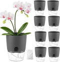 Planterhoma 8 Pack Self Watering Pots by Planterhoma