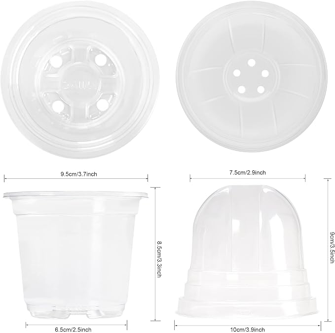 MIXC Clear Plant Nursery Pots - Image 3