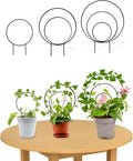 3 Pcs Unique Round Hoya Garden Trellis, Different Small Houseplant Trellis by Unknown