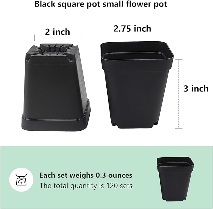 Square Nursery Pots 3" 120Pcs Deep Succulent Plastic Pots Small Flower Planter - Image 2