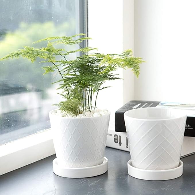 BUYMAX Plant Pots Indoor –5 inch Ceramic Flower Pot - Image 3