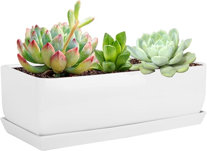 Vencer 14 Inch Rectangular Modern Minimalist Ceramic Succulent Planter Pot by Vencer