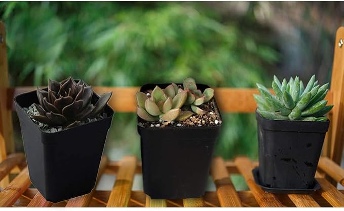 OJYUDD 24 Pack 3 Inch Black Nursery Pot Flower Pots Square Plastic Plant Pot - Image 7