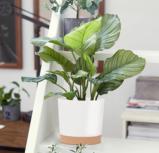 kubvici Indoor Plant Pots Planters 8 inch Plastic Planter - Image 8