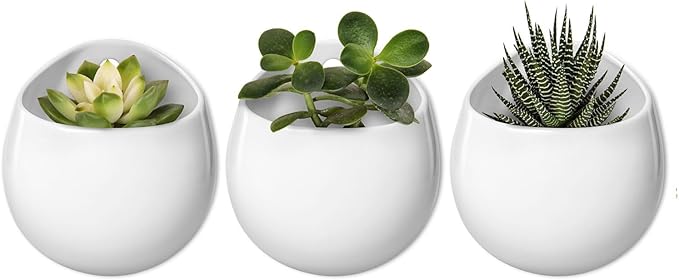 Mkono 4 Inch Wall Mounted Planter Round Ceramic Hanging Plant Holder Decorative by Mkono