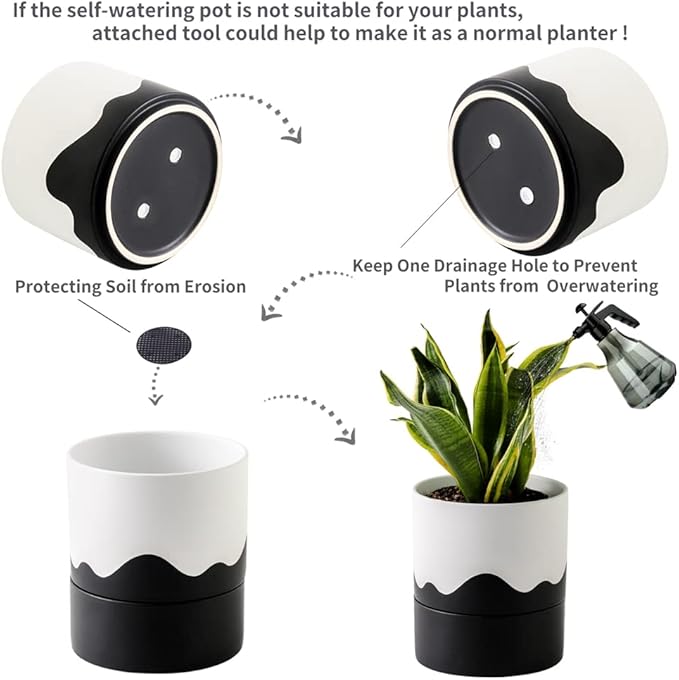 Nihow Self Watering Plant Pot: 6 Inch Ceramic Planter - Image 4