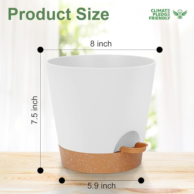 8-Inch Plant Pots, Self-Watering Planters - Image 4