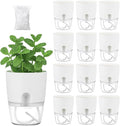 Planterhoma 12 Pack Self Watering Pots by Planterhoma