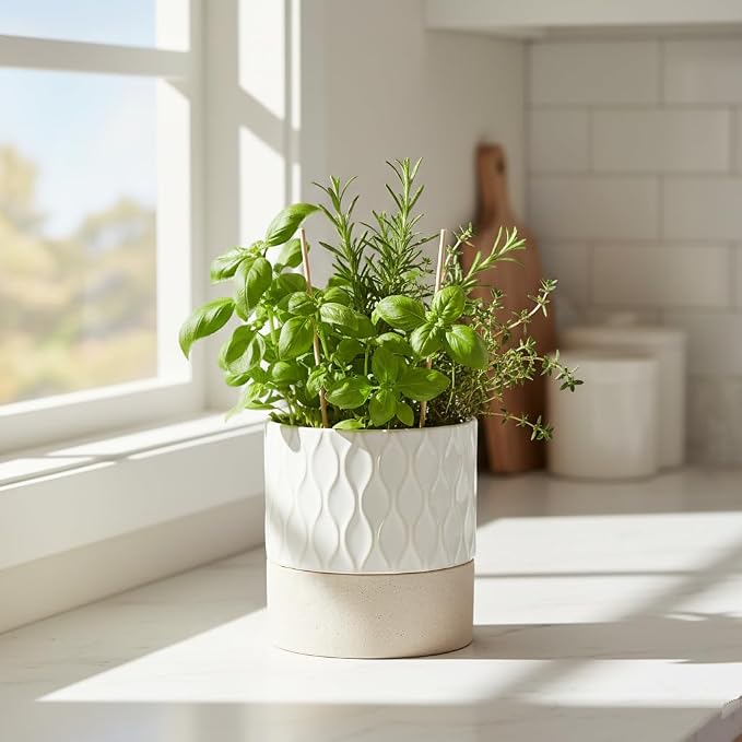 Nihow Self Watering Plant Pot: 4.5 Inch Ceramic Planter - Image 8