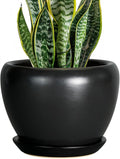 Ceramic Planter Pot by Ceramicfor