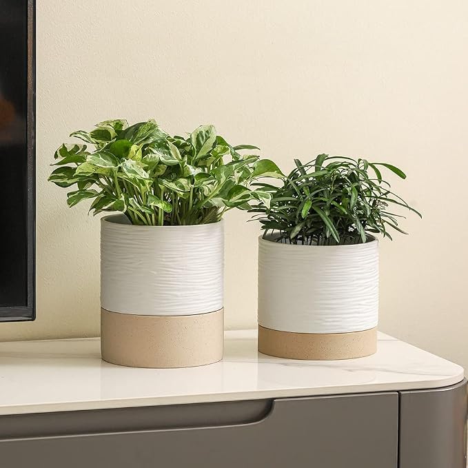 Nihow Self Watering Plant Pot: 6 Inch Ceramic Planter - Image 5
