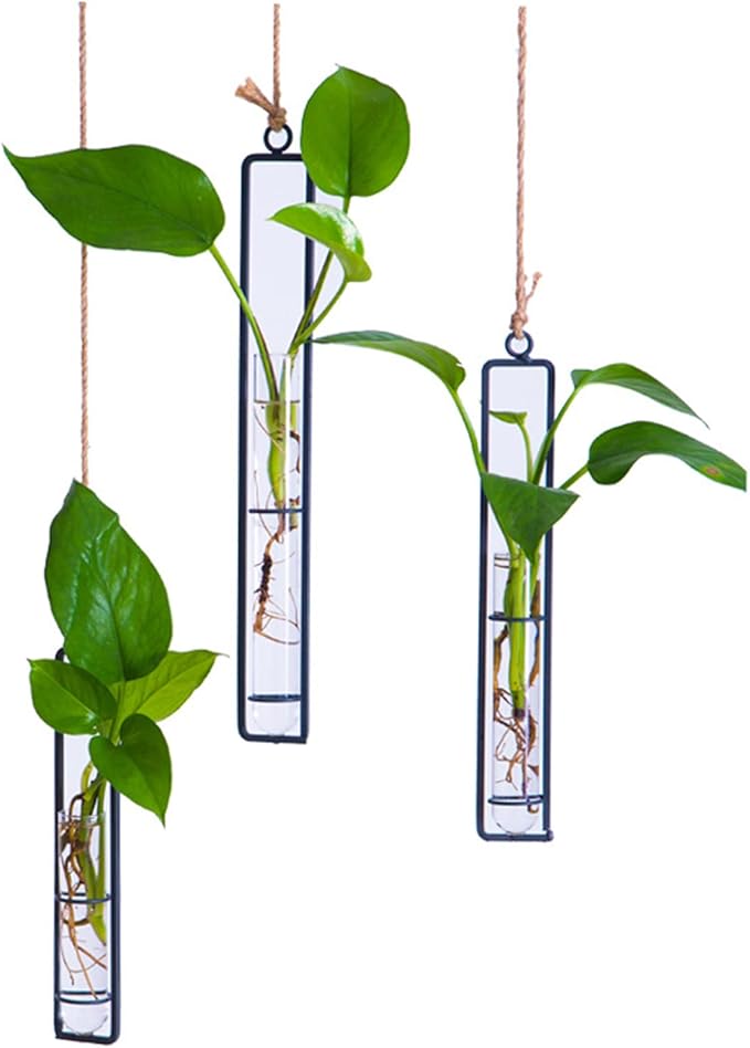 3 Pieces Hanging Glass Hydroponic Planter Transparent Test Tube Plant Vase by AQRICHFOX
