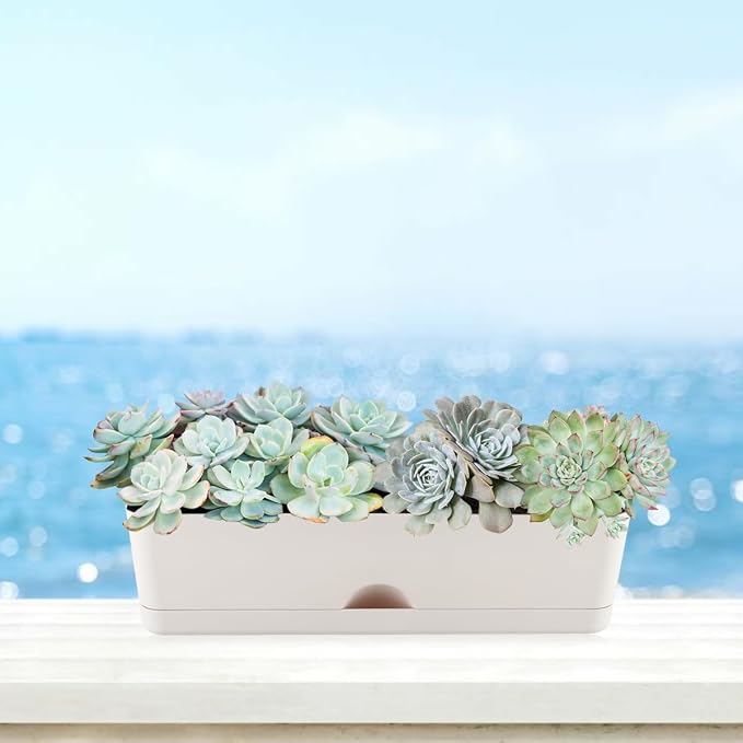 6 Pack Rectangle Planter 16x4.4 Inch Window Boxes Planters Rectangular Large - Image 7