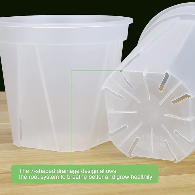 GREENPARA Transparent Plastic Planter 4/5 /6 inch Plant Nursery Pots - Image 4