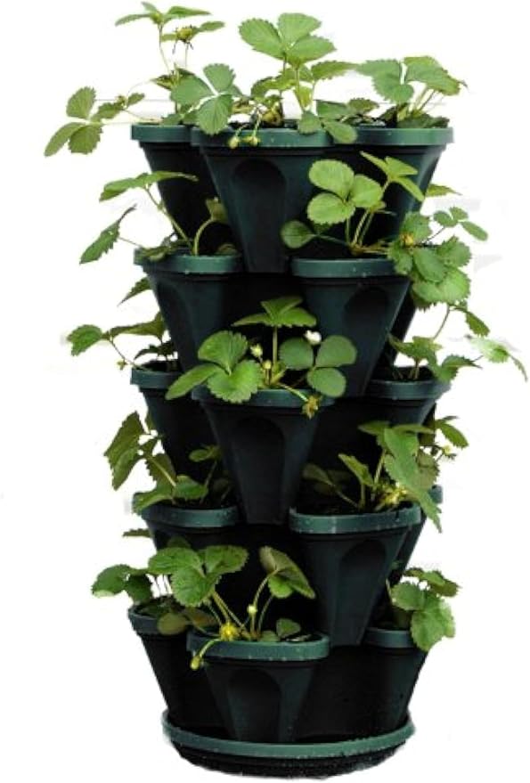 Mr. Stacky 1305-HG 5-Tier Stackable Strawberry, & Vegetable Planter by Mr.+Stacky