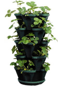 Mr. Stacky 1305-HG 5-Tier Stackable Strawberry, & Vegetable Planter by Mr.+Stacky