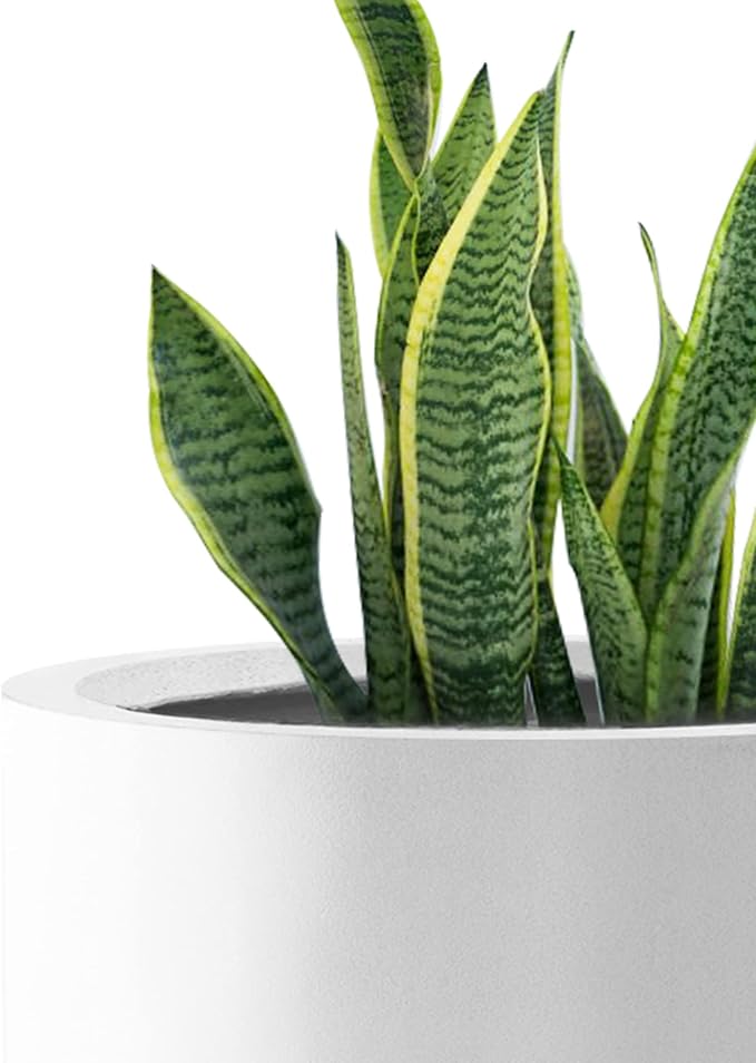Kante RC0119ABC-C80011 Set of 3 Lightweight Concrete Modern Cylinder Outdoor - Image 3