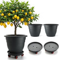 3-Pack Jumbo 15.7 Inch Planters by RooTrimmer