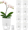 Planterhoma 8 Pack Self Watering Pots by Planterhoma