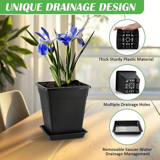BTPLASTIK 9 Inch Square Planters - Image 2