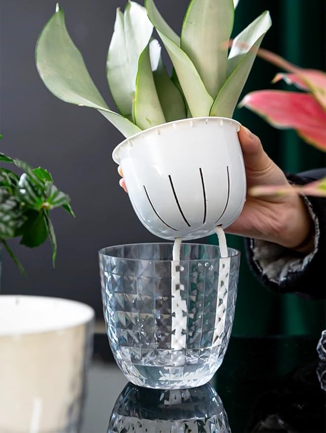 2 Pack 6 inch Self Watering Pots Planters - Image 7