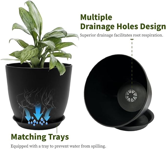 Plant Pots 8 Inch Set of 6, Flower Pots - Image 3