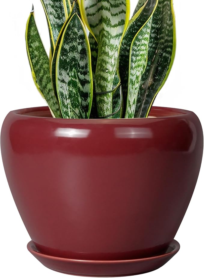 Ceramic Planter by Ceramicfor