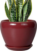 Ceramic Planter by Ceramicfor