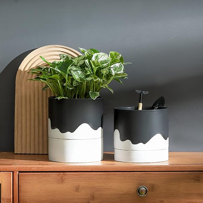 Nihow Ceramic Plant Pot: 6 Inch Planter - Image 5