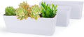 GREANER Flower Boxes, 3 Pack 12x3.8 Inch Rectangle Window Boxes, Herb Planters by GREANER