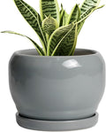 SQOWL 6 Inch Plant Pots by SQOWL