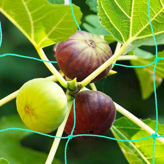 Pack of 2 Cucumber Tomato Trellis Netting, Heavy Duty Garden Netting Support - Image 4