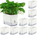 Planterhoma Self Watering Plant Pots by Planterhoma