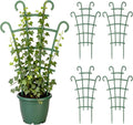 Plant Support Stakes, Stackable Plant Trellis by Unknown