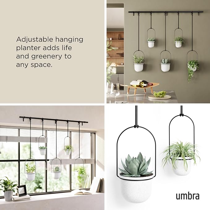 Umbra Triflora Hanging Planter for Window, Indoor Herb Garden - Image 4