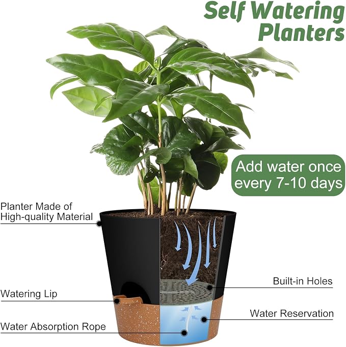 10-Inch Plant Pots, Self-Watering Planters - Image 5