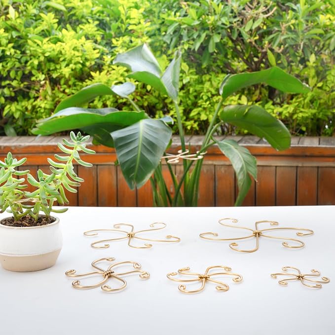 Monstera Plant Stem Support Set of 5 - Image 7