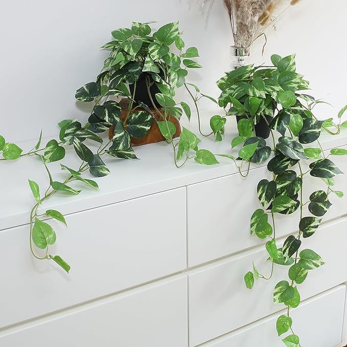 Fake Pothos Hanging Plants by ALYPTUS