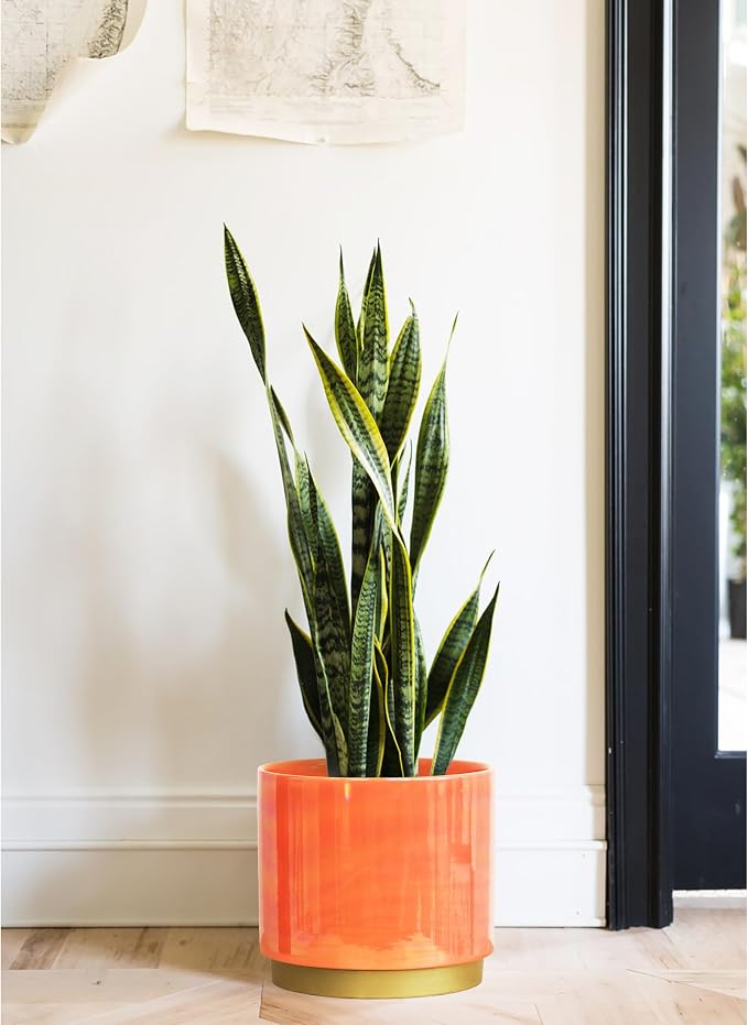 Gepege Peach Indoor Plant Pots for Plants, Large Ceramic Planter - Image 7