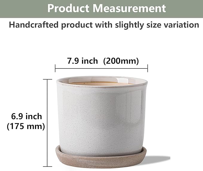 8 Inch Plant Pot: Ceramic Planter - Image 2