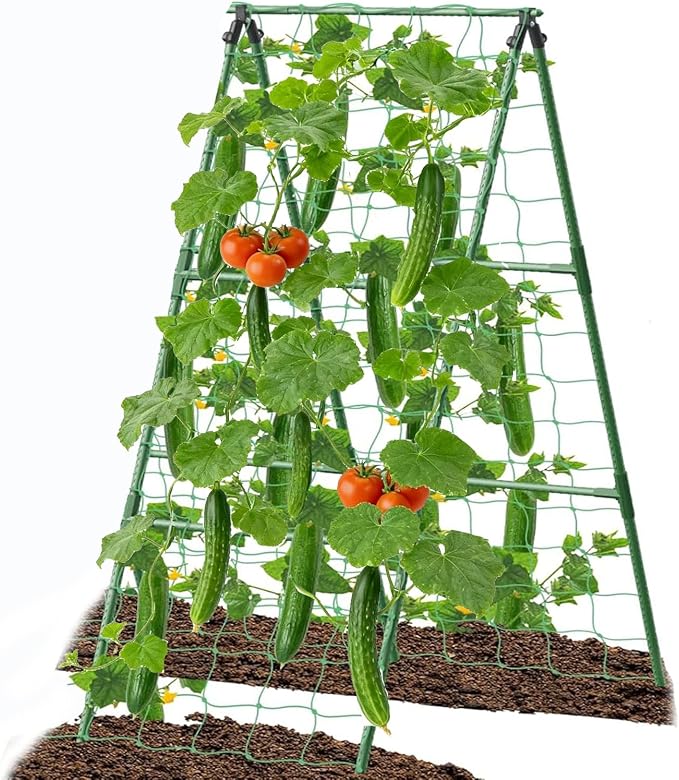 Cucumber Trellis Garden Trellis Arch Trellis, Tall Trellis by 7Queen