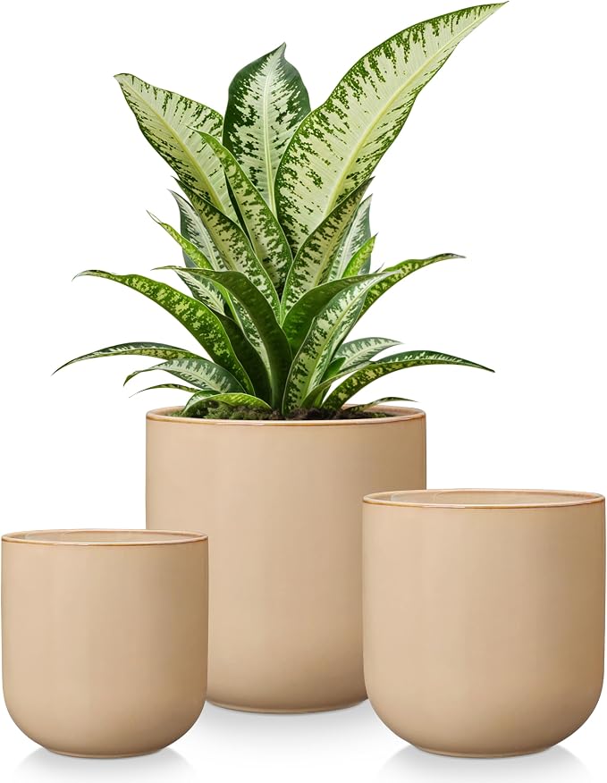 vancasso Ceramic Plant Pots, 4+5+6 inches, Planters by vancasso
