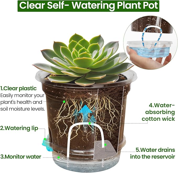 12 Pack 6.5 Inch Clear Self Watering Plant Pots - Image 4