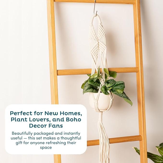 Nook Theory 6-Pack Macrame Plant Hangers - Image 9