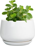 G EPGardening Ceramic Plants Pots by GEPGardening